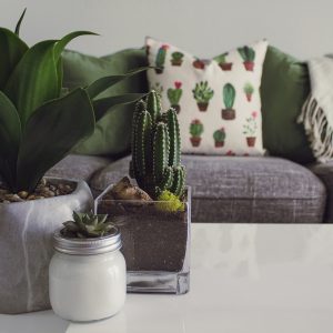 Ceramic Tray